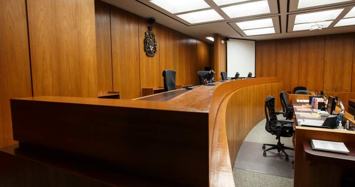 AI use in Canadian courtrooms carries risk of errors, penalties: lawyers – National