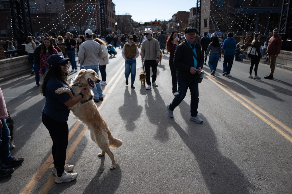 Annual Goldens in Golden event in Golden, Co. Feb. 7th, 2026.