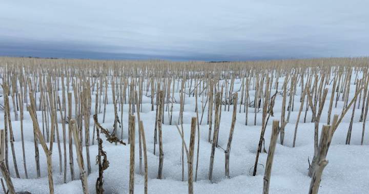 Prairies, northern Ontario brrr-ace for Alberta clipper and more snow