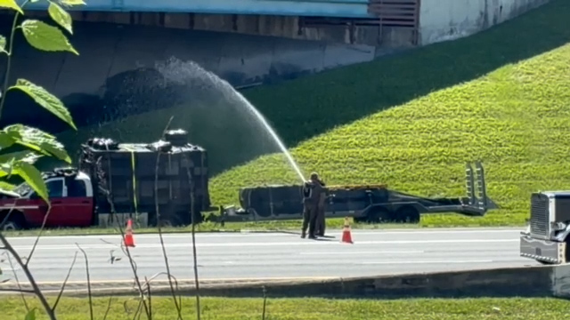 A million bees swarm Knoxville after I-40 truck crash