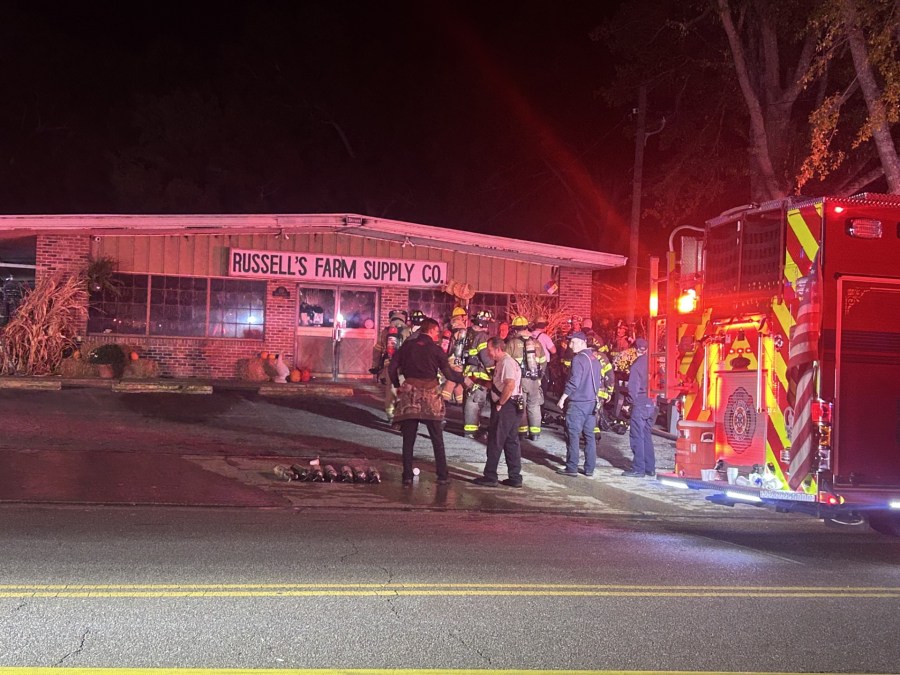 Fire damages historic Collierville business, beloved parrot dies
